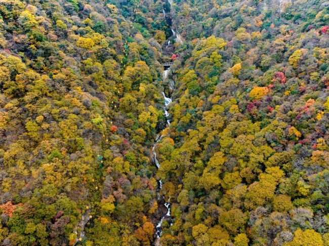 走進(jìn)多彩太平 看見大美秦嶺 ——“美好西旅 詩畫秦嶺” 活動啟動