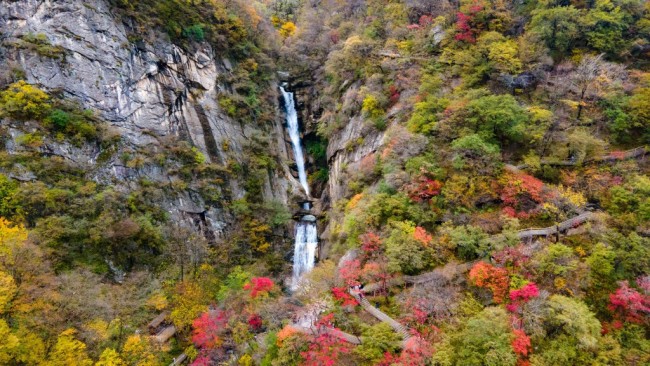 走進(jìn)多彩太平 看見大美秦嶺 ——“美好西旅 詩畫秦嶺” 活動啟動