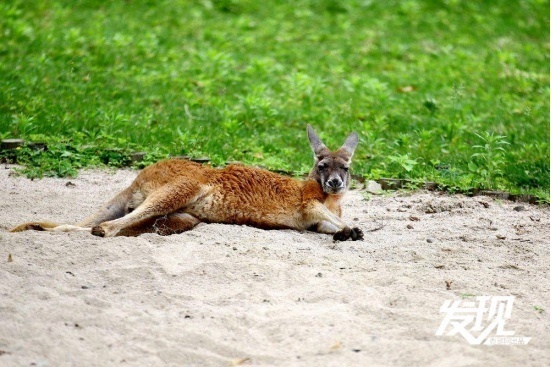 1716350121592745.png?x-oss-process=style/w10 image.png?x-oss-process=style/w10